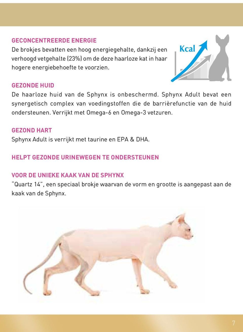 Sphynx Adult bevat een synergetisch complex van voedingstoffen die de barrièrefunctie van de huid ondersteunen. Verrijkt met Omega-6 en Omega-3 vetzuren.