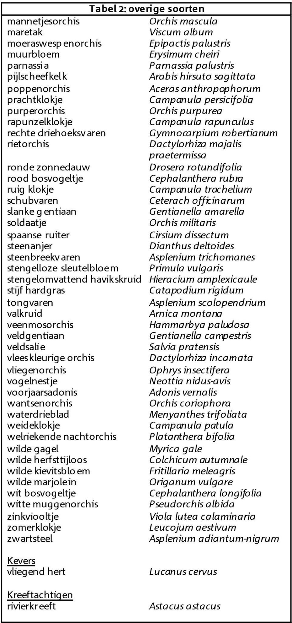 robertianum rietorchis Dactylorhiza majalis praetermissa ronde zonnedauw Drosera rotundifolia rood bosvogeltje Cephalanthera rubra ruig klokje Campanula trachelium schubvaren Ceterach officinarum