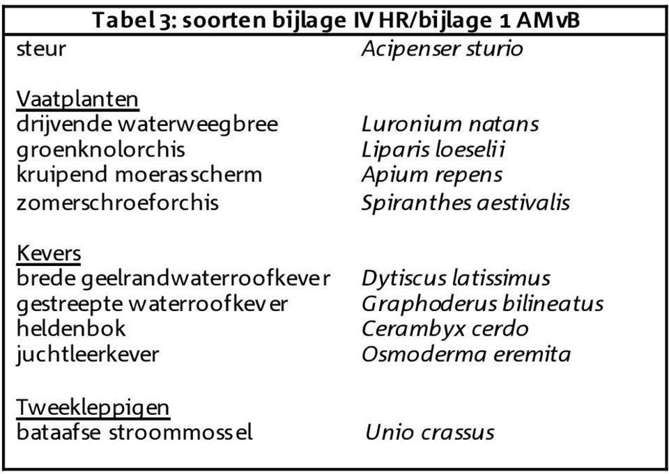 waterroofkever heldenbok juchtleerkever Tweekleppigen bataafse stroommossel Luronium natans Liparis