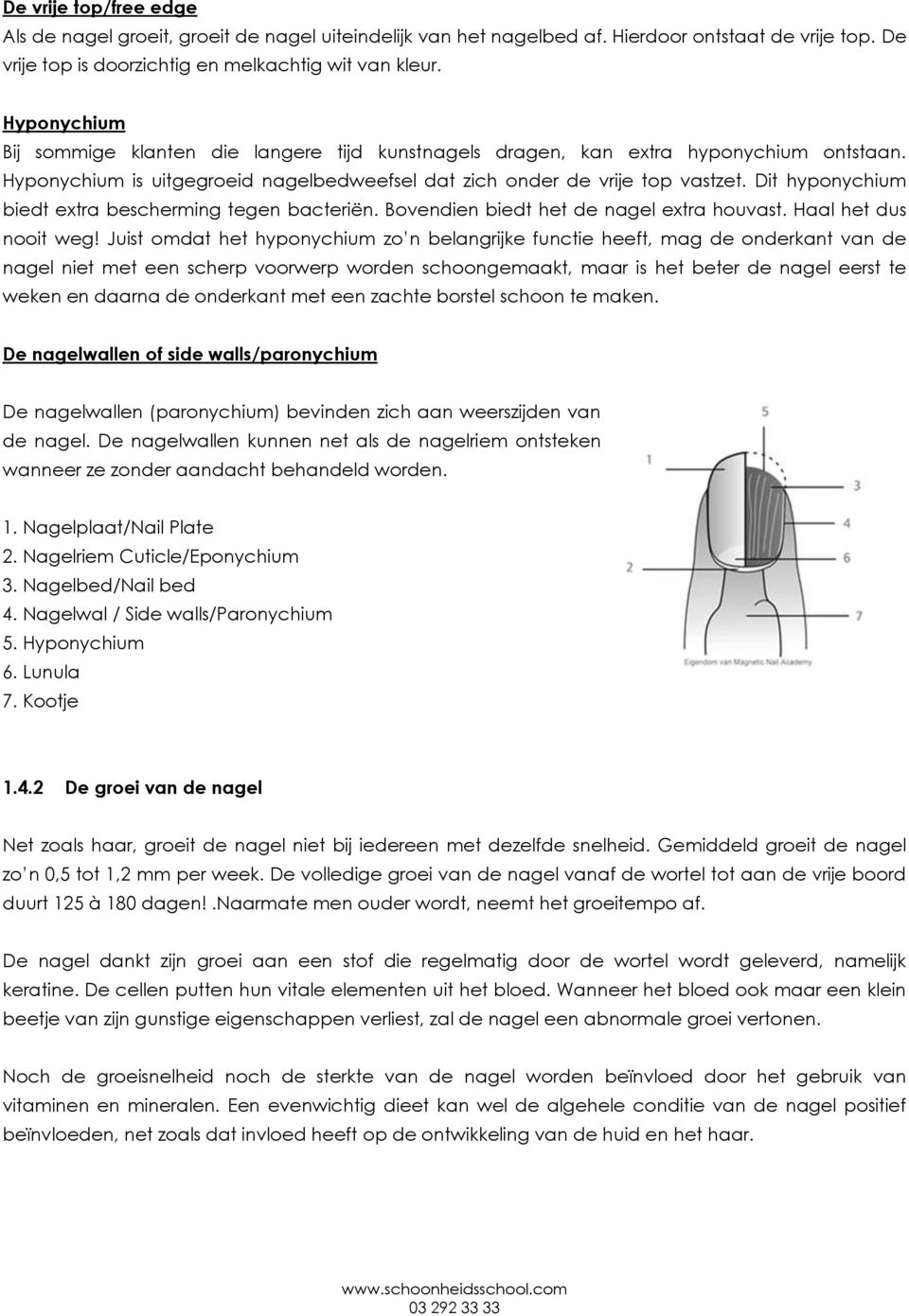 Dit hyponychium biedt extra bescherming tegen bacteriën. Bovendien biedt het de nagel extra houvast. Haal het dus nooit weg!