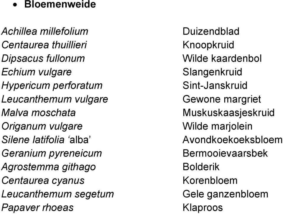 Centaurea cyanus Leucanthemum segetum Papaver rhoeas Duizendblad Knoopkruid Wilde kaardenbol Slangenkruid