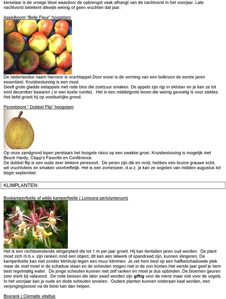 Geeft grote gladde eetappels met rode blos die zoetzuur smaken. De appels zijn rijp in oktober en je kan ze tot eind december bewaren ( in een koele ruimte).