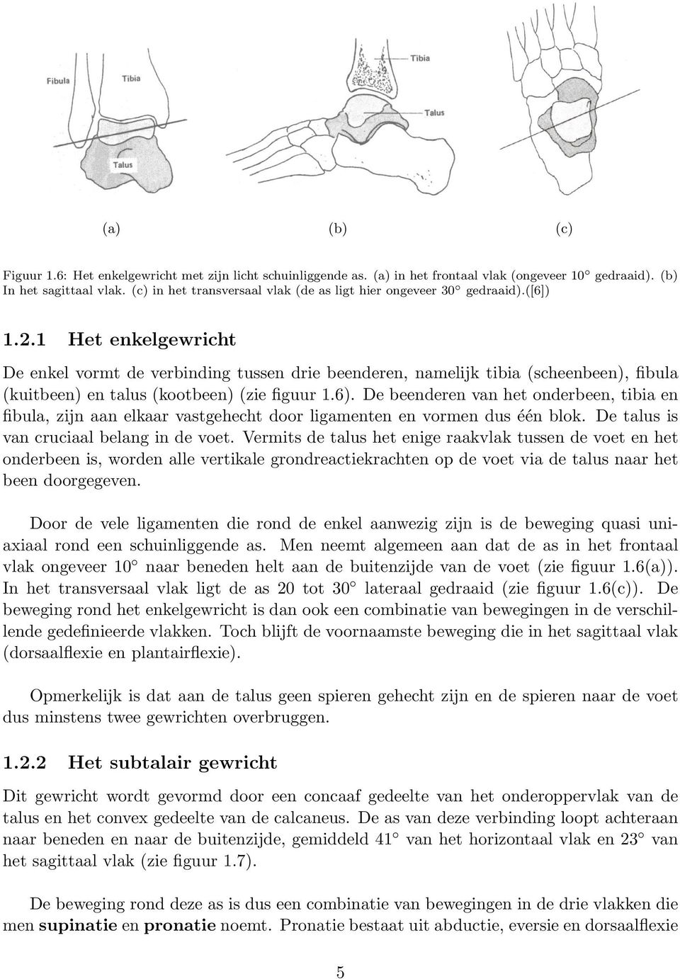 D bndrn van ht ndrbn, tibia n fibula, zijn aan lkaar vastghcht dr ligamntn n vrmn dus één blk. D talus is van cruciaal blang in d vt.