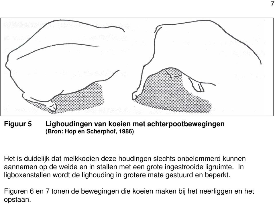 stallen met een grote ingestrooide ligruimte.