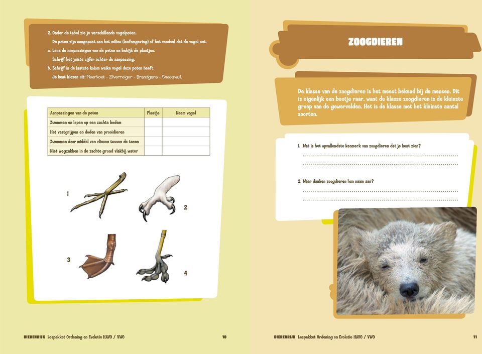 Aanpassingen van de poten Plaatje Naam vogel Zwemmen en lopen op een zachte bodem Het vastgrijpen en doden van prooidieren Zwemmen door middel van vliezen tussen de tenen Niet wegzakken in de zachte