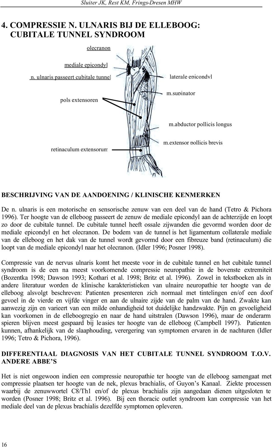 extensor pollicis brevis BESCHRIJVING VAN DE AANDOENING / KLINISCHE KENMERKEN De n. ulnaris is een motorische en sensorische zenuw van een deel van de hand (Tetro & Pichora 1996).
