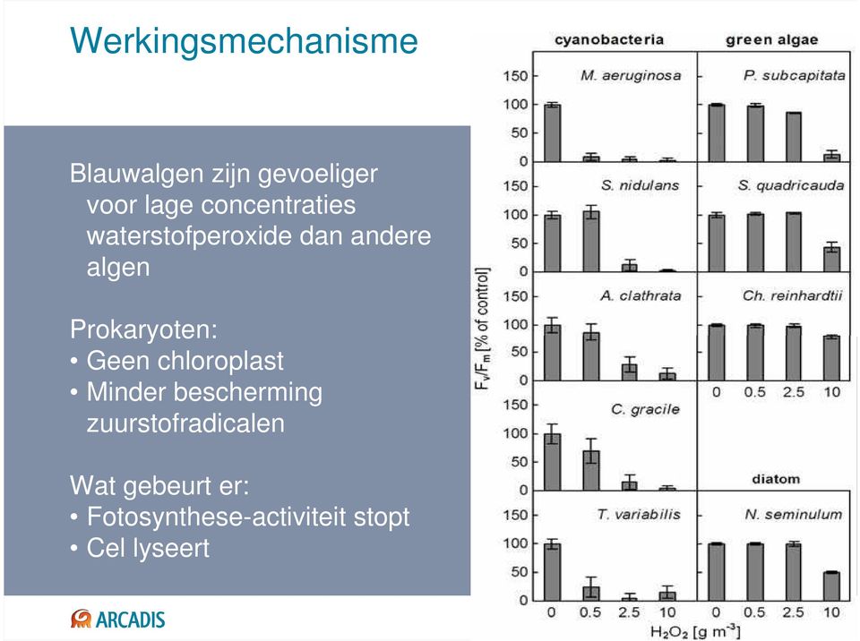 Prokaryoten: Geen chloroplast Minder bescherming