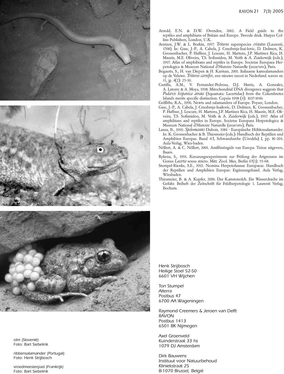 Maurin, M.E. Oliveira, T.S. Sofianidou, M. Veith & A. Zuiderwijk (eds.), 1997. Atlas of amphibians and reptiles in Europe.