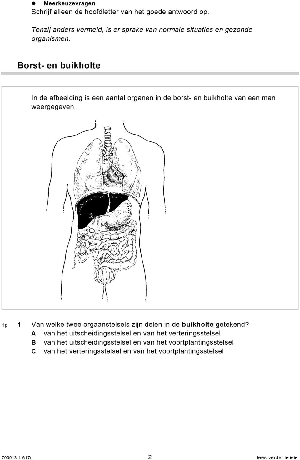 Borst- en buikholte In de afbeelding is een aantal organen in de borst- en buikholte van een man weergegeven.