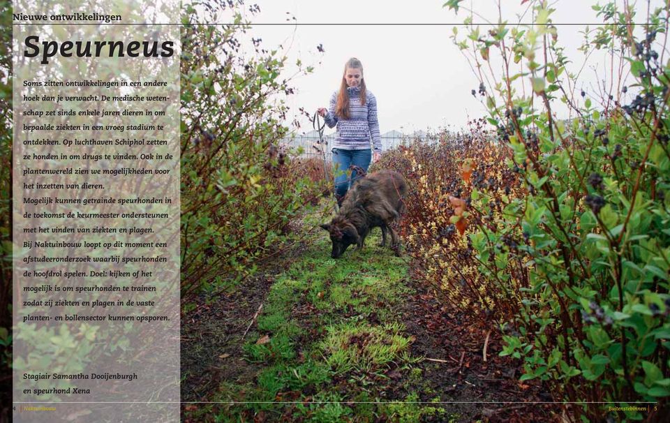 Ook in de plantenwereld zien we mogelijkheden voor het inzetten van dieren. Mogelijk kunnen getrainde speurhonden in de toekomst de keurmeester ondersteunen met het vinden van ziekten en plagen.