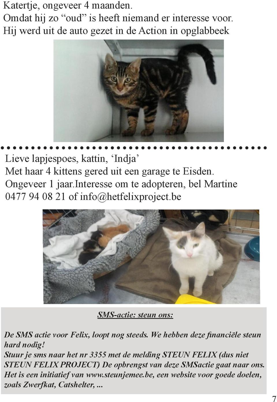 interesse om te adopteren, bel Martine 0477 94 08 21 of info@hetfelixproject.be SMS-actie: steun ons: De SMS actie voor Felix, loopt nog steeds.