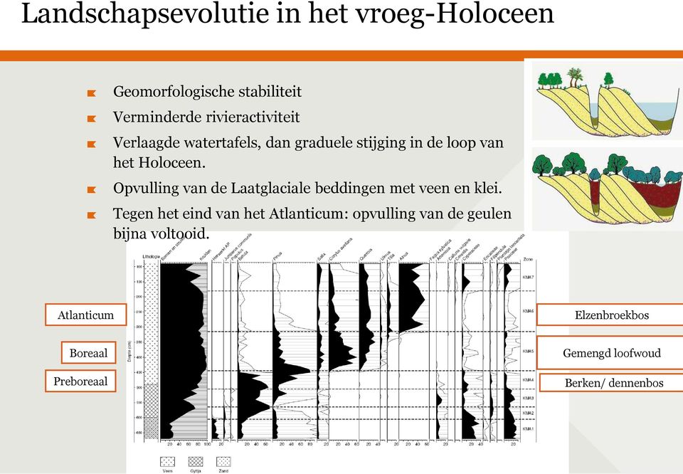 Opvulling van de Laatglaciale beddingen met veen en klei.