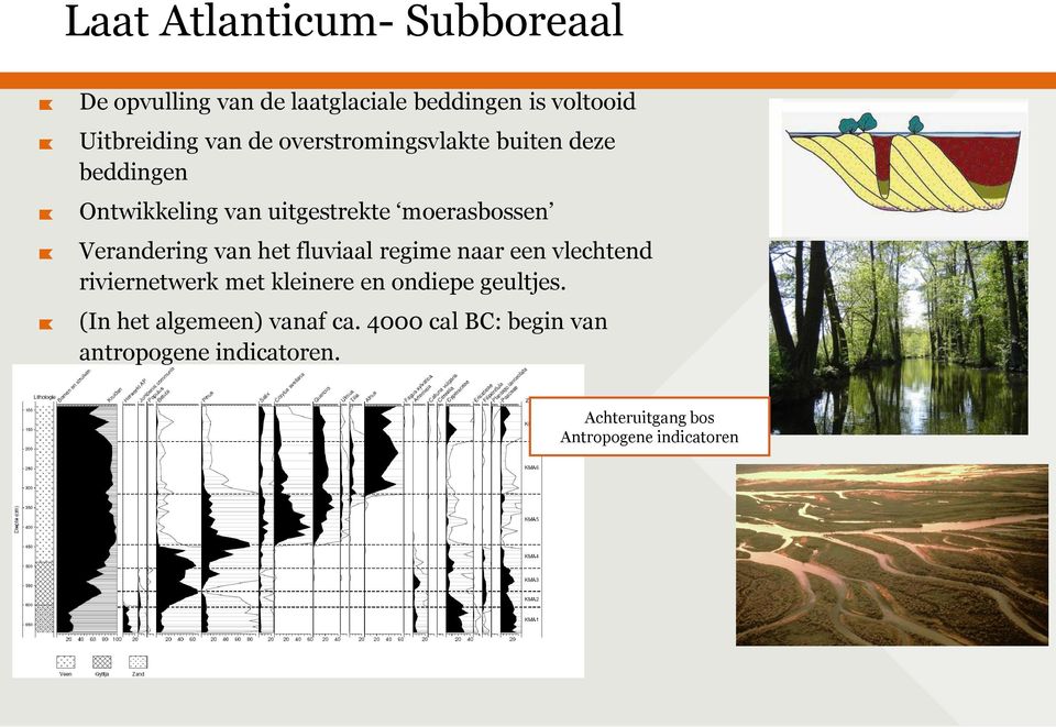 het fluviaal regime naar een vlechtend riviernetwerk met kleinere en ondiepe geultjes.