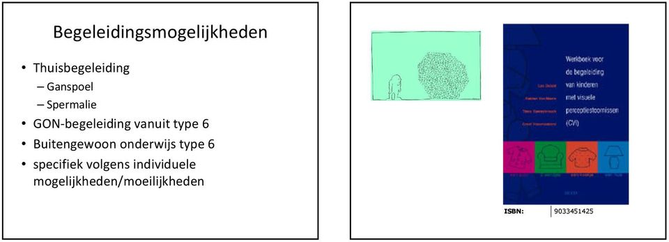 Buitengewoon onderwijs type 6 specifiek volgens