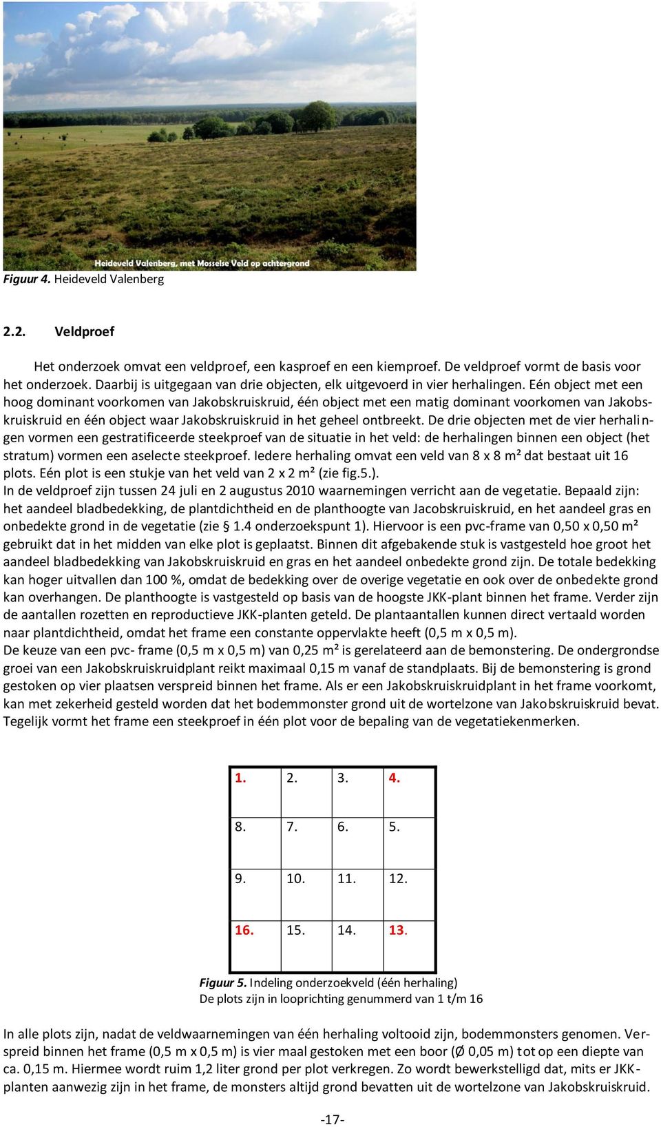 Eén object met een hoog dominant voorkomen van Jakobskruiskruid, één object met een matig dominant voorkomen van Jakobskruiskruid en één object waar Jakobskruiskruid in het geheel ontbreekt.