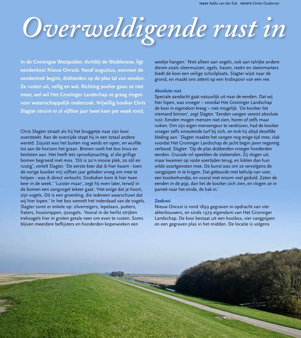 Richting poelier gaan ze niet meer, wel wil Het Groninger Landschap ze graag ringen voor wetenschappelijk onderzoek.