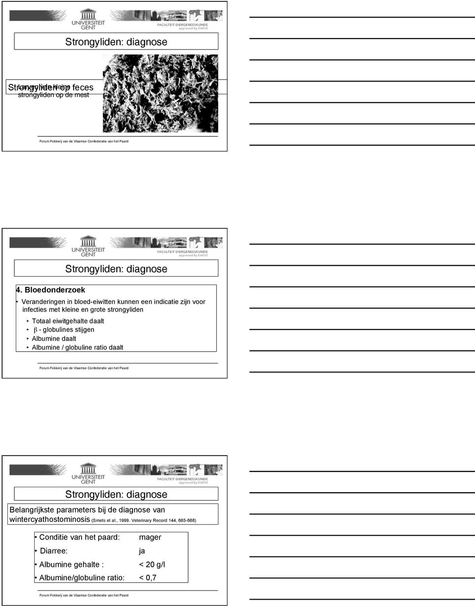 Totaal eiwitgehalte daalt β - globulines stijgen Albumine daalt Albumine / globuline ratio daalt Strongyliden: diagnose Belangrijkste