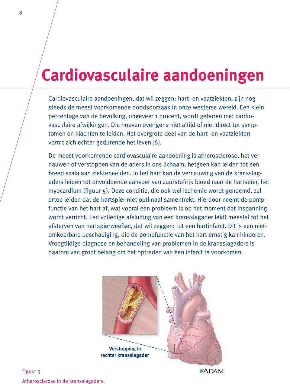 Het overgrote deel van de hart- en vaatziekten vormt zich echter gedurende het leven [6].