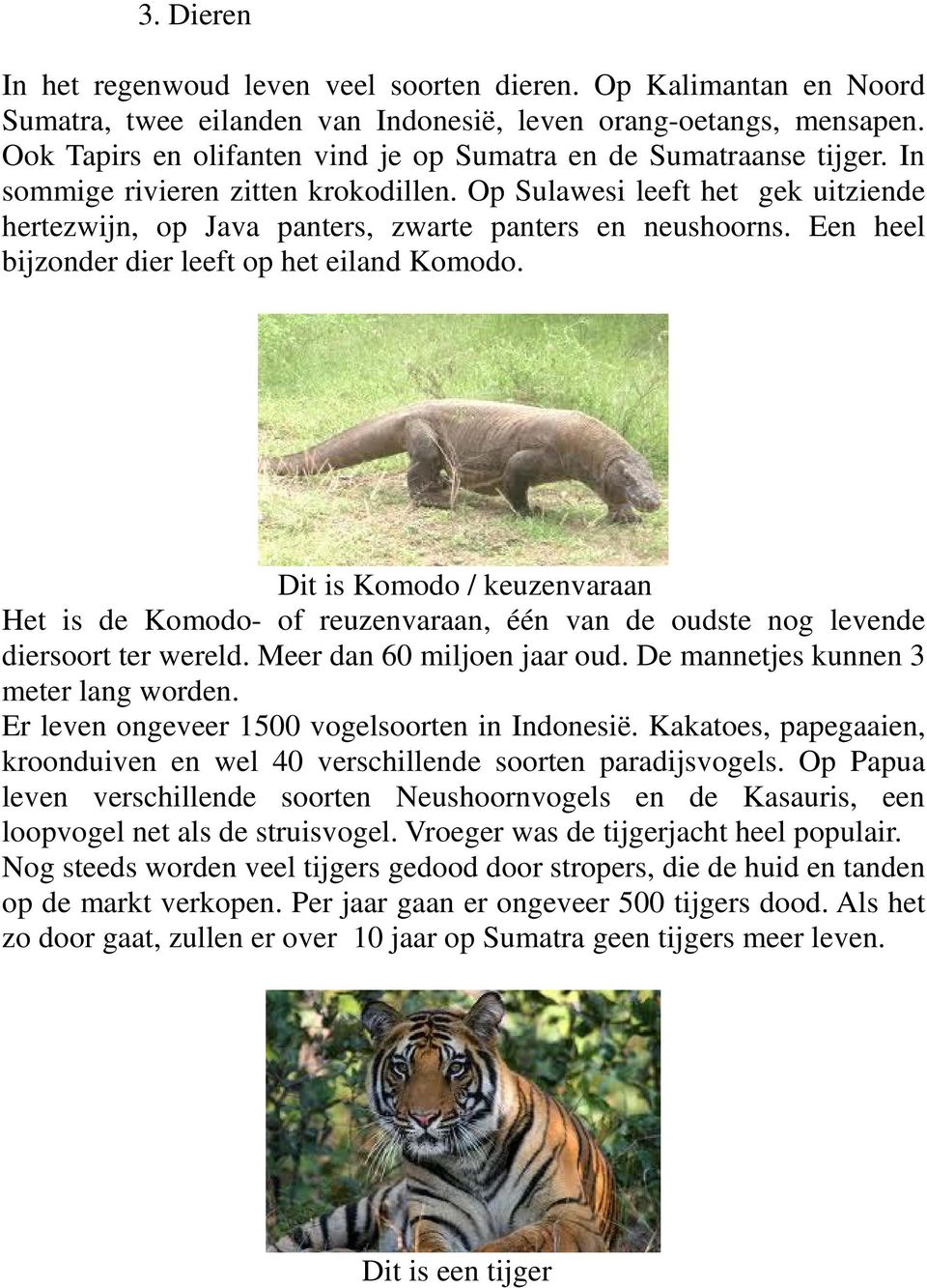 Op Sulawesi leeft het gek uitziende hertezwijn, op Java panters, zwarte panters en neushoorns. Een heel bijzonder dier leeft op het eiland Komodo.