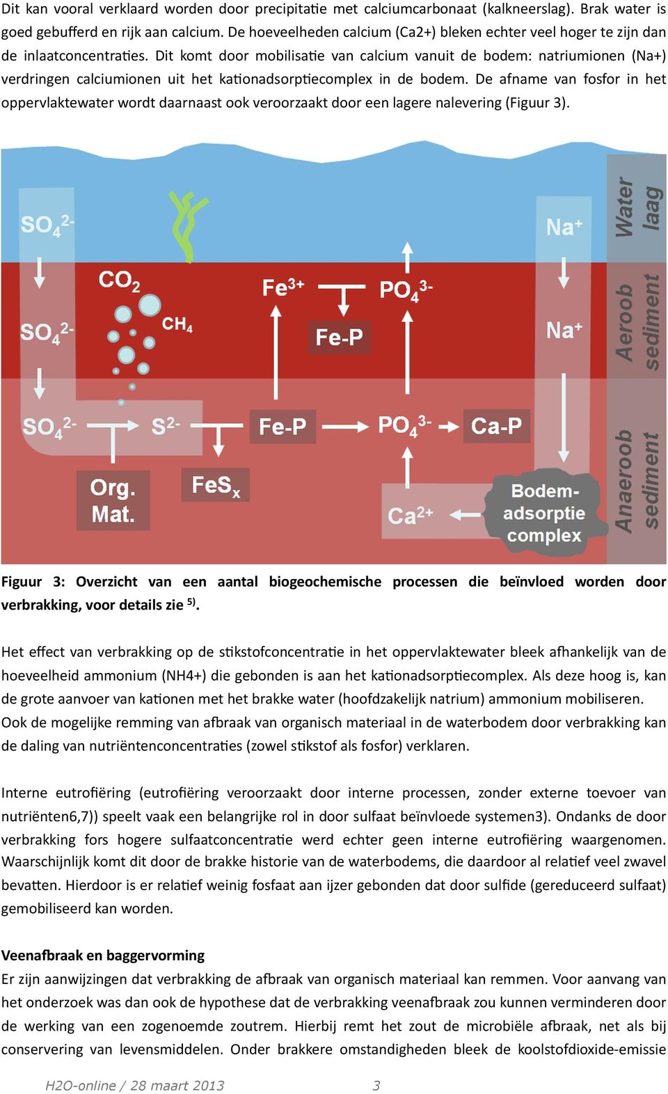 Dit komt door mobilisa;e van calcium vanuit de bodem: natriumionen (Na+) verdringen calciumionen uit het ka;onadsorp;ecomplex in de bodem.