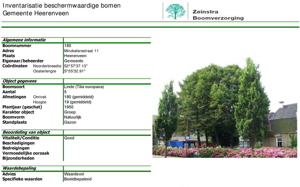 91'' Linde (Tilia europaea) Aantal 5 Afmetingen Omtrek 180