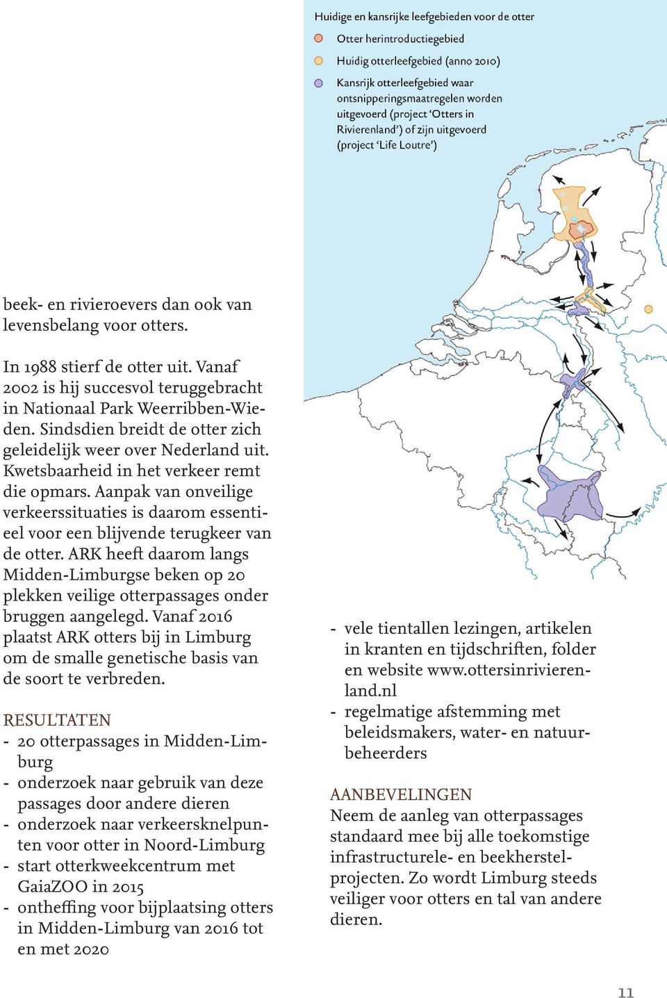 Aanpak van onveilige verkeerssituaties is daarom essentieel voor een blijvende terugkeer van de otter.