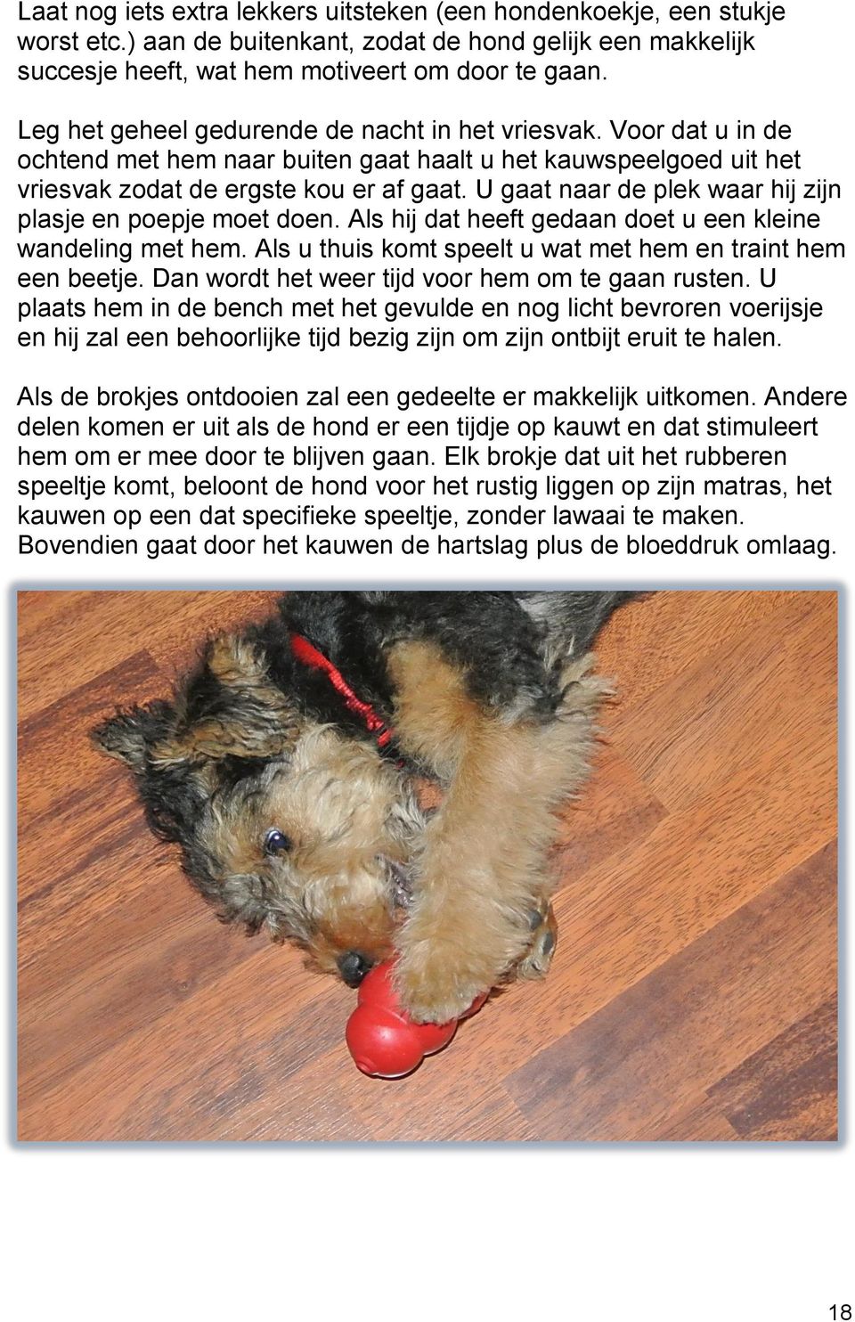 U gaat naar de plek waar hij zijn plasje en poepje moet doen. Als hij dat heeft gedaan doet u een kleine wandeling met hem. Als u thuis komt speelt u wat met hem en traint hem een beetje.