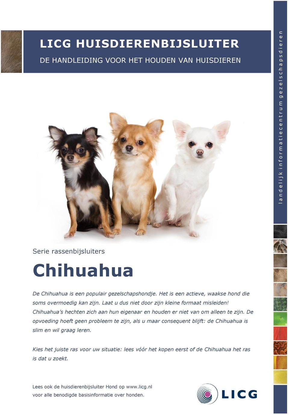 Chihuahua s hechten zich aan hun eigenaar en houden er niet van om alleen te zijn.