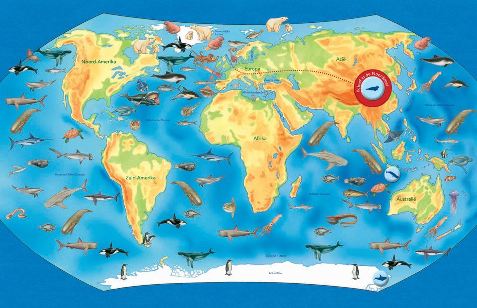 Grote (of Stille) Oceaan Rode Zee Atlantische Oceaan Afrika Grote