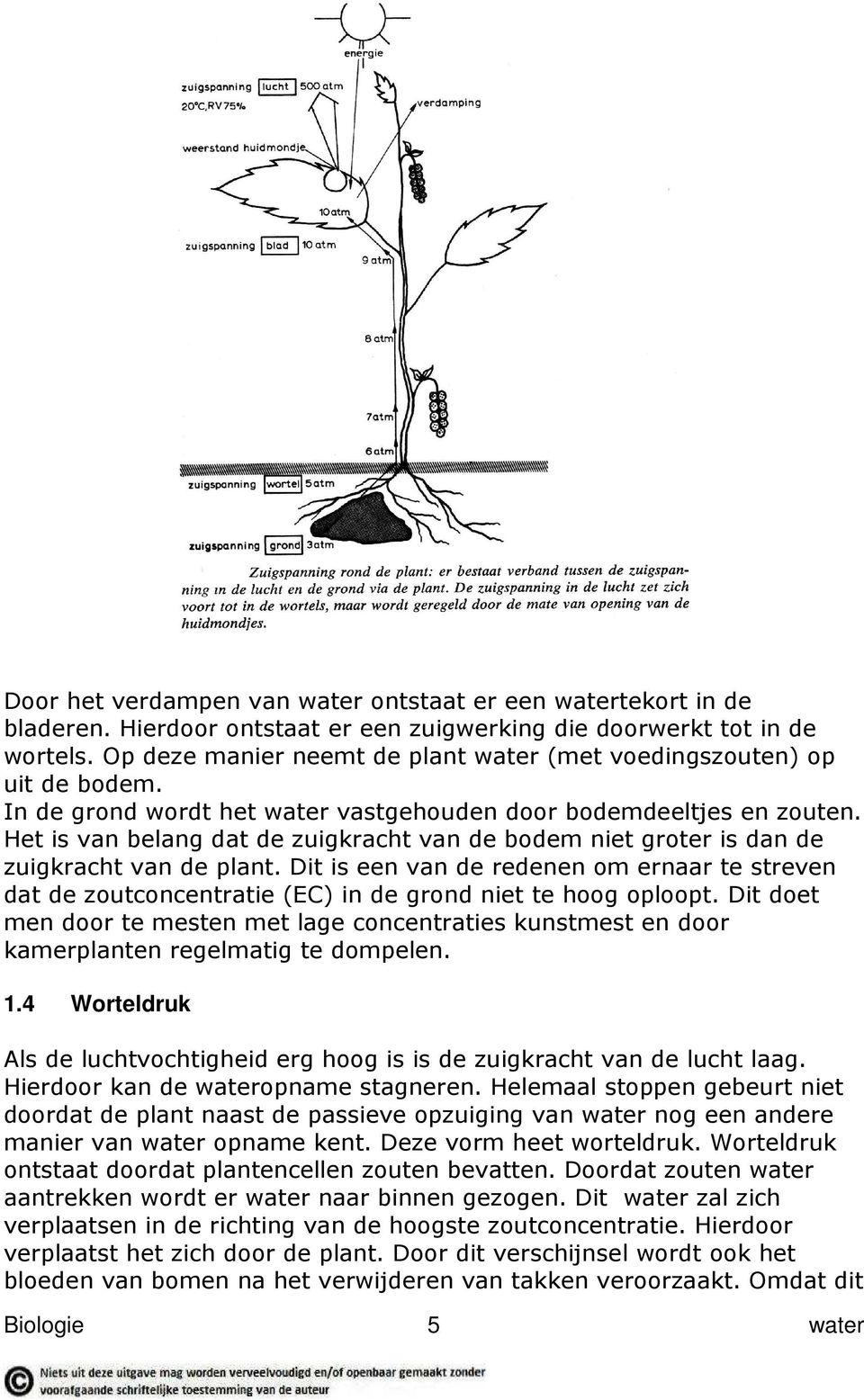 Het is van belang dat de zuigkracht van de bodem niet groter is dan de zuigkracht van de plant.