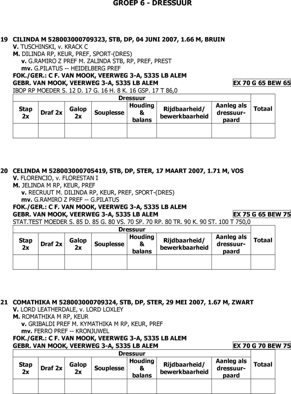 17 G. 16 H. 8 K. 16 GSP. 17 T 86,0 Draf 20 CELINDA M 528003000705419, STB, DP, STER, 17 MAART 2007, 1.71 M, VOS V. FLORENCIO, v. FLORESTAN I M. JELINDA M RP, KEUR, PREF v. RECRUUT M.