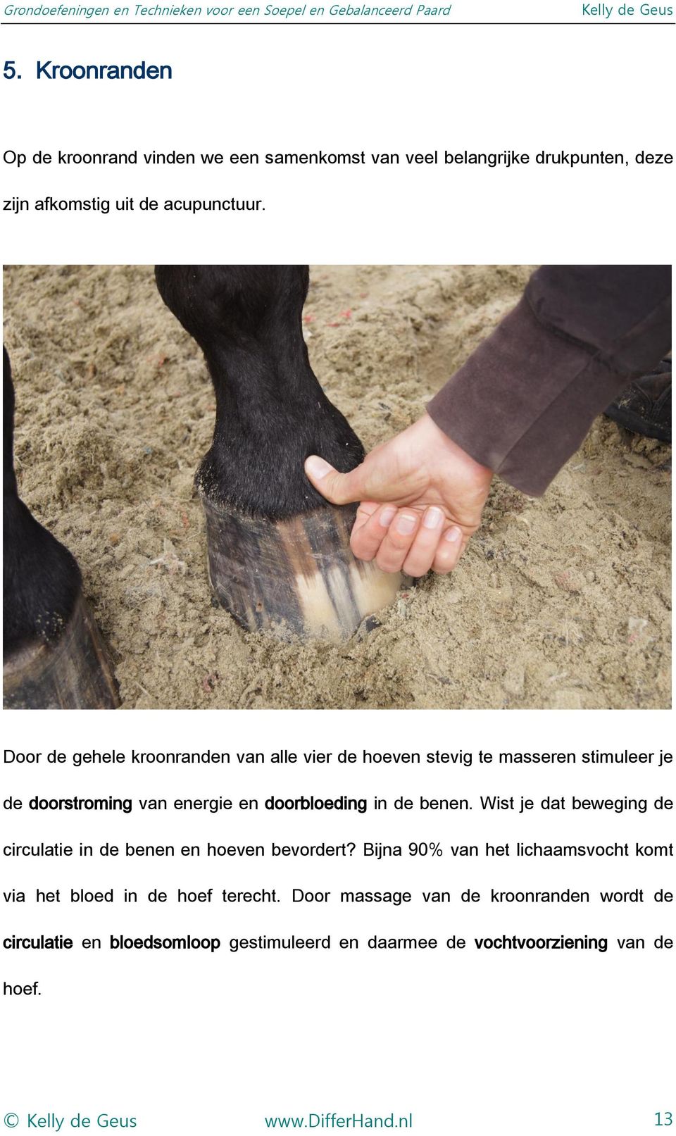 Wist je dat beweging de circulatie in de benen en hoeven bevordert? Bijna 90% van het lichaamsvocht komt via het bloed in de hoef terecht.