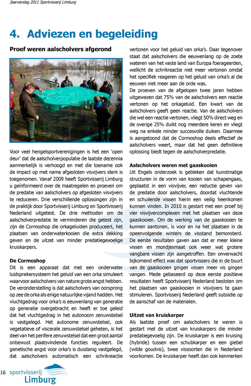 Vanaf 2009 heeft Sportvisserij Limburg u geïnformeerd over de maatregelen en proeven om de predatie van aalscholvers op afgesloten visvijvers te reduceren.