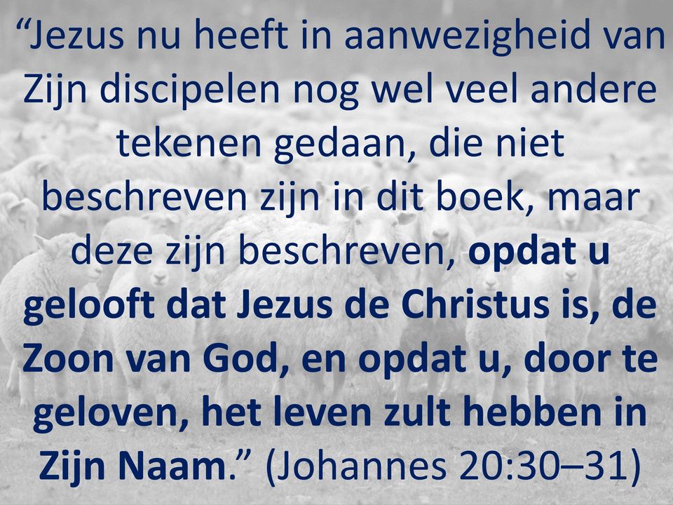 beschreven, opdat u gelooft dat Jezus de Christus is, de Zoon van God, en