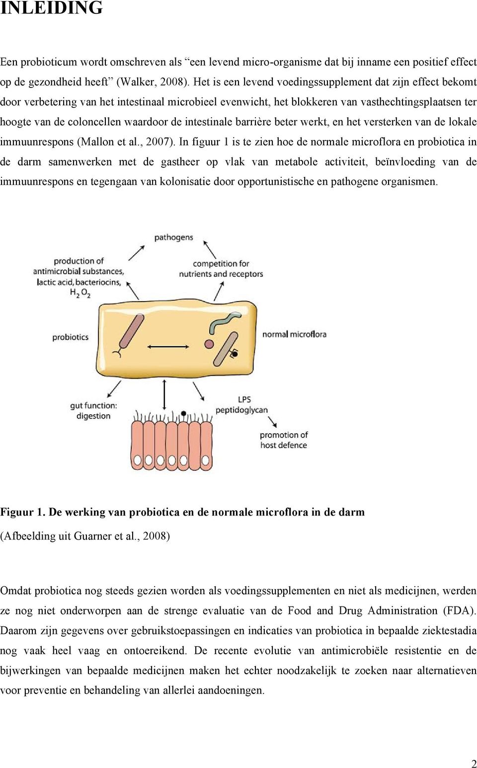 de intestinale barrière beter werkt, en het versterken van de lokale immuunrespons (Mallon et al., 2007).