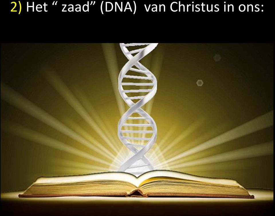 (DNA) van