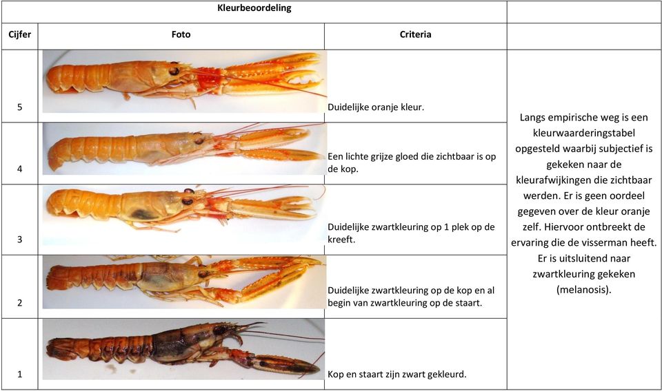 Langs empirische weg is een kleurwaarderingstabel opgesteld waarbij subjectief is gekeken naar de kleurafwijkingen die zichtbaar werden.