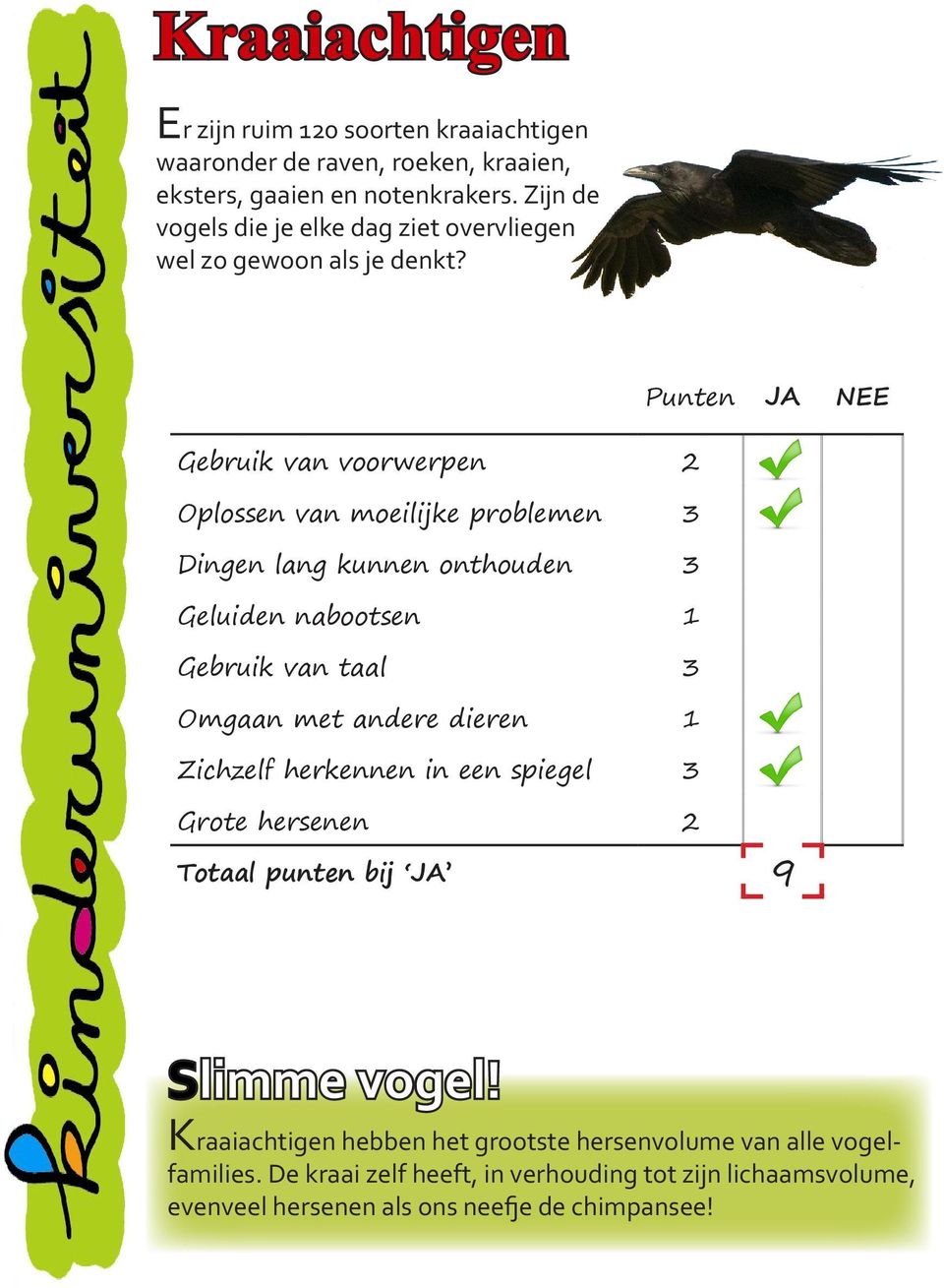 Punten JA NEE Gebruik van voorwerpen 2 Oplossen van moeilijke problemen 3 Dingen lang kunnen onthouden 3 Geluiden nabootsen 1 Gebruik van taal 3 Omgaan met