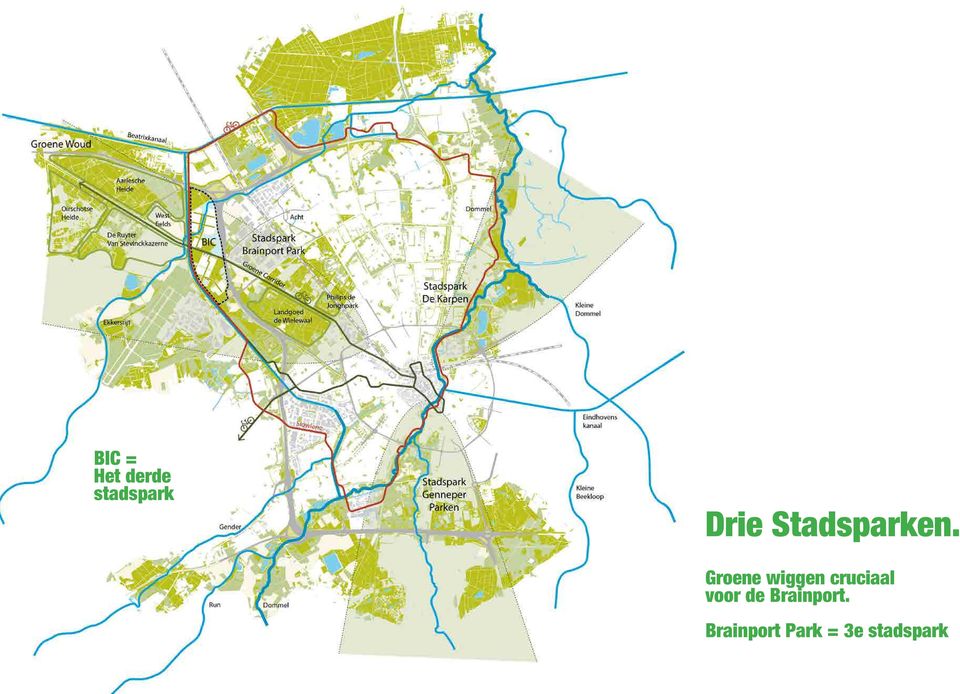 Groene wiggen cruciaal voor