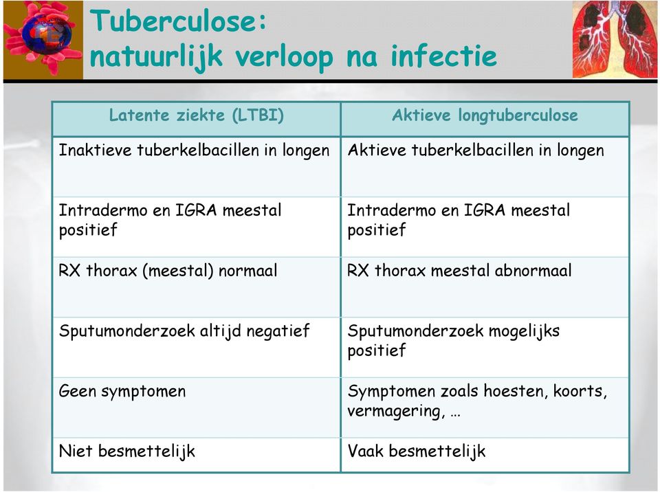 (meestal) normaal Intradermo en IGRA meestal positief RX thorax meestal abnormaal Sputumonderzoek altijd negatief