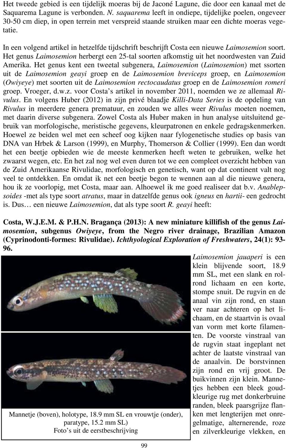 In een volgend artikel in hetzelfde tijdschrift beschrijft Costa een nieuwe Laimosemion soort. Het genus Laimosemion herbergt een 25-tal soorten afkomstig uit het noordwesten van Zuid Amerika.