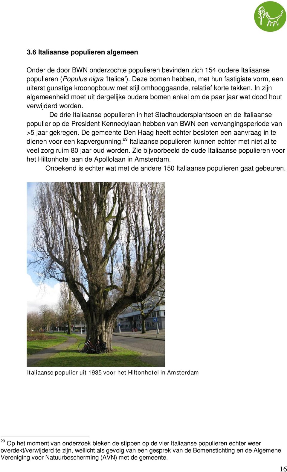 In zijn algemeenheid moet uit dergelijke oudere bomen enkel om de paar jaar wat dood hout verwijderd worden.