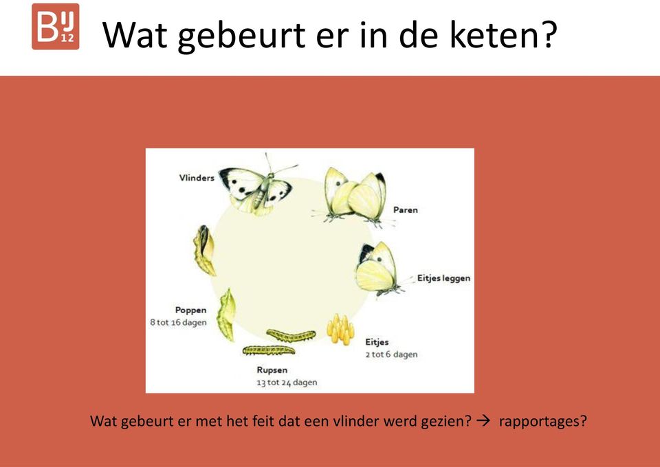 Wat gebeurt er met het