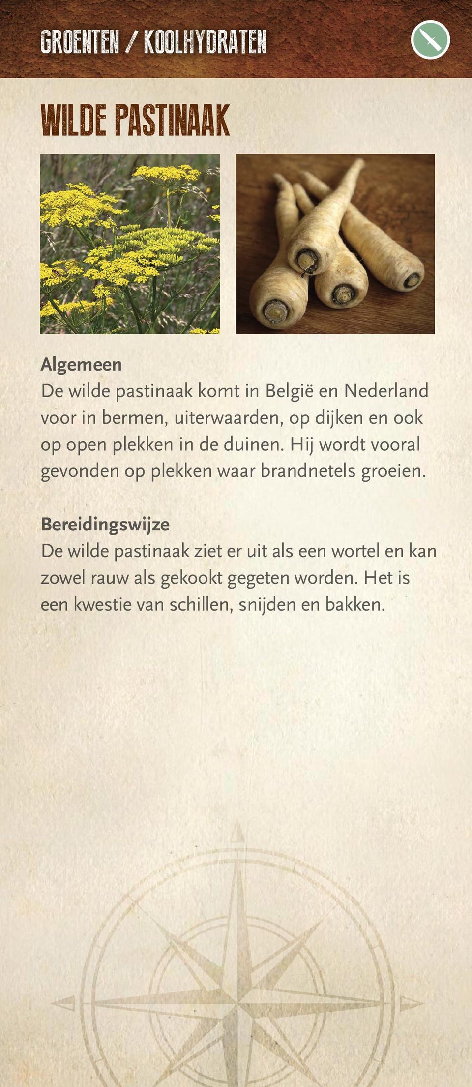 Hij wordt vooral gevonden op plekken waar brandnetels groeien.