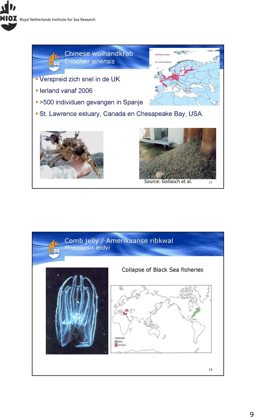 Lawrence estuary, Canada en Chesapeake Bay, USA. Source: Gollasch et al.