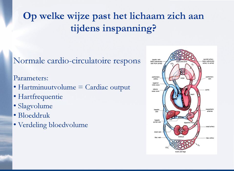Normale cardio-circulatoire respons Parameters: