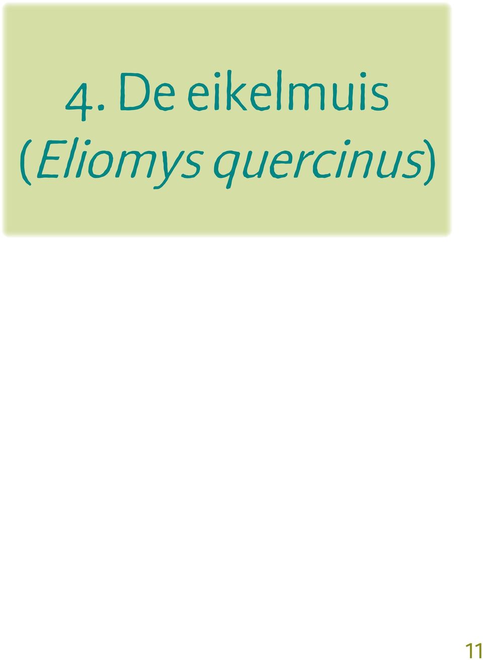 (Eliomys