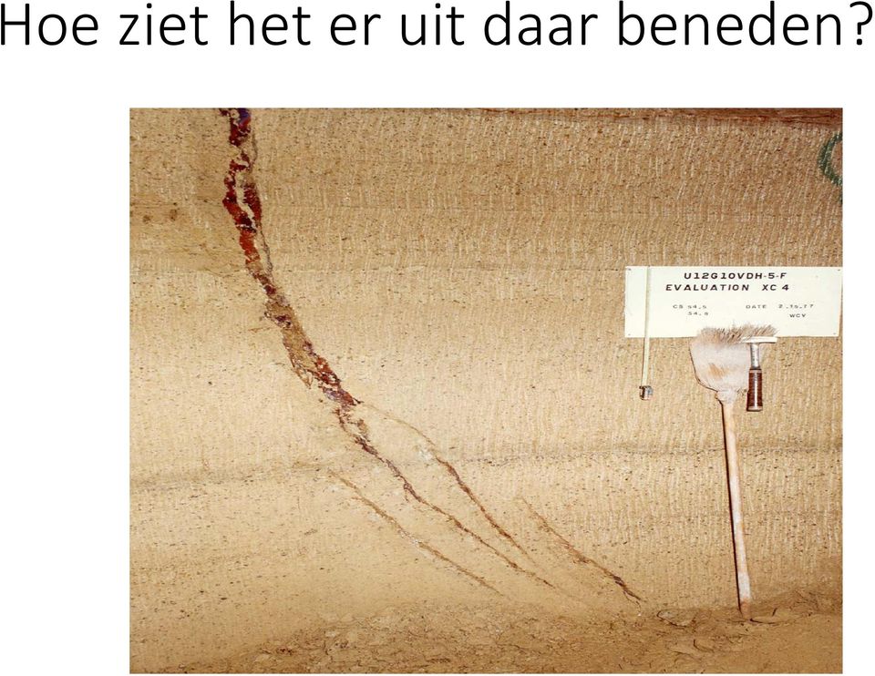 uit daar