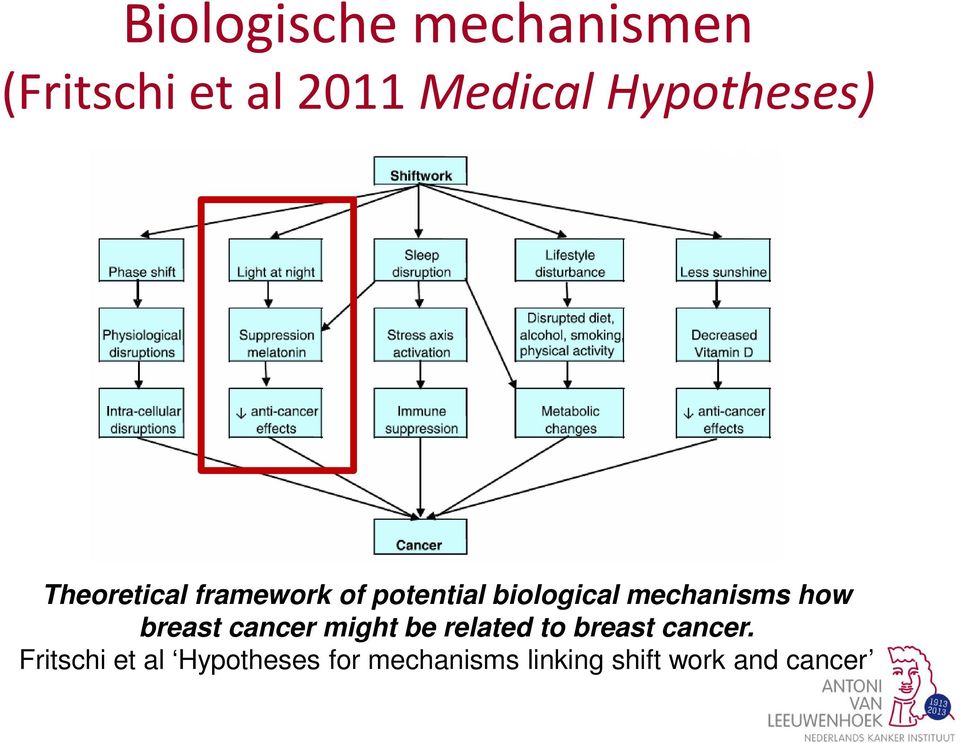 mechanisms how breast cancer might be related to breast