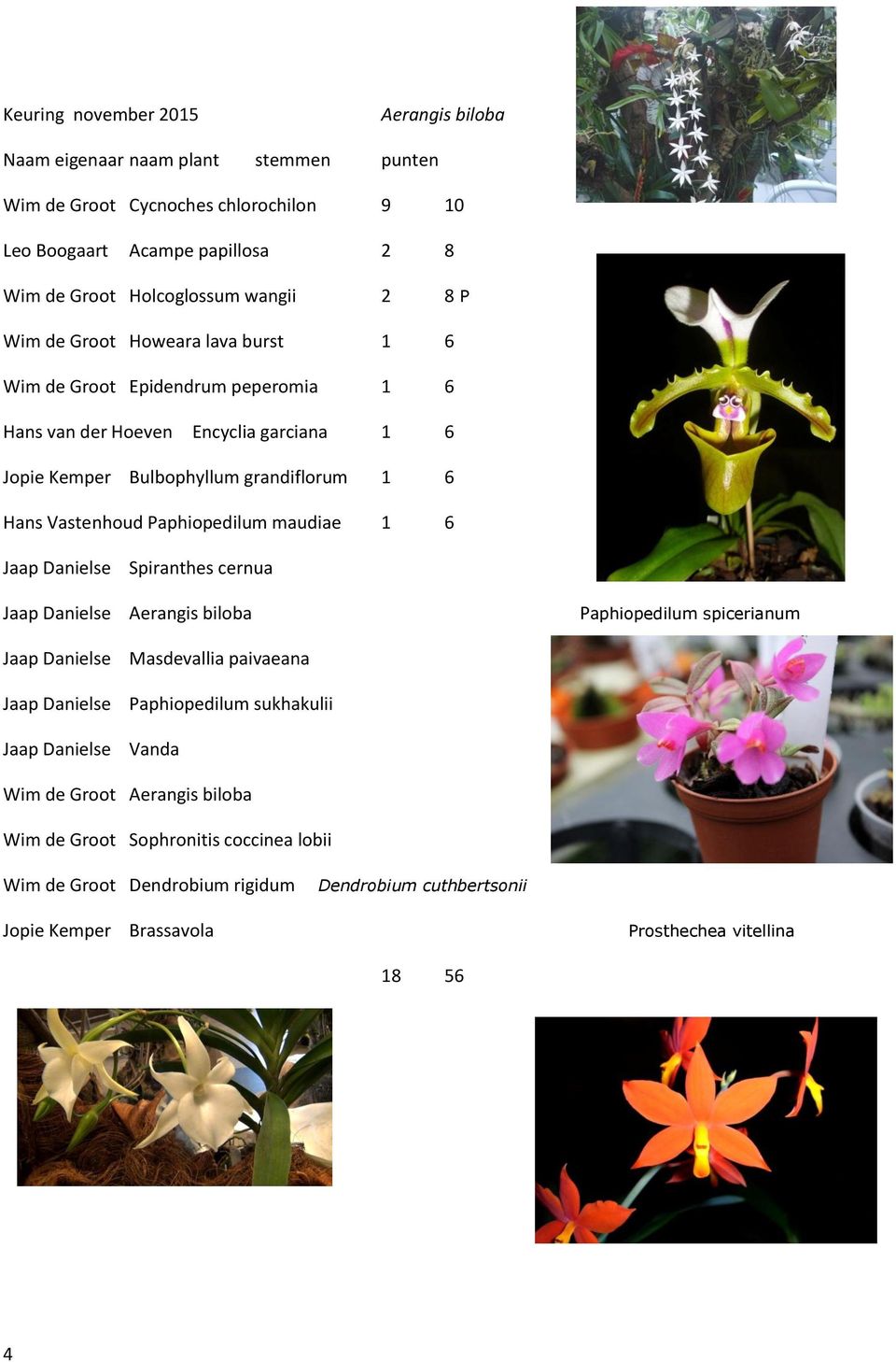 Paphiopedilum maudiae 1 6 Jaap Danielse Spiranthes cernua Jaap Danielse Aerangis biloba Paphiopedilum spicerianum Jaap Danielse Jaap Danielse Jaap Danielse Masdevallia paivaeana